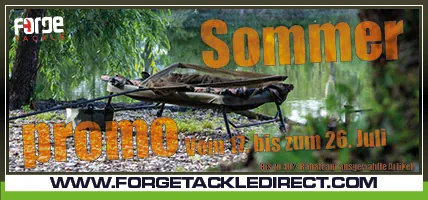 Forge Summer Sale Banner