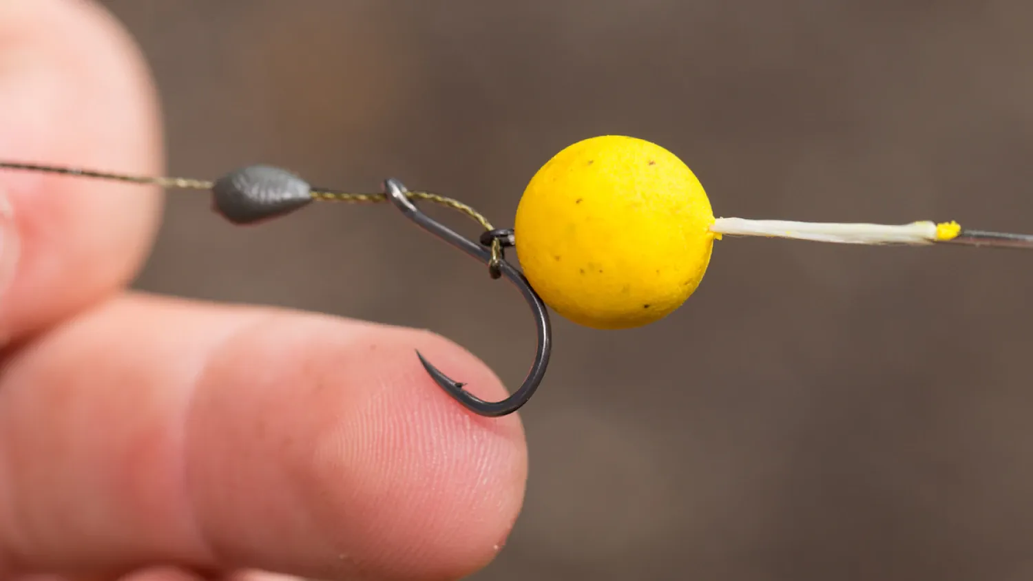 Single Hookbait auf dem Futterplatz - ein Weg zum Kapitalen.