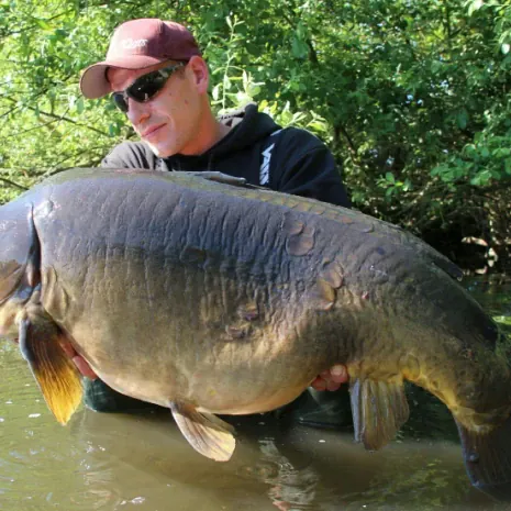 Krasser Spiegler im Sonnenschein - natürlich auf Bait Perfection Pillen. Bait Perfection