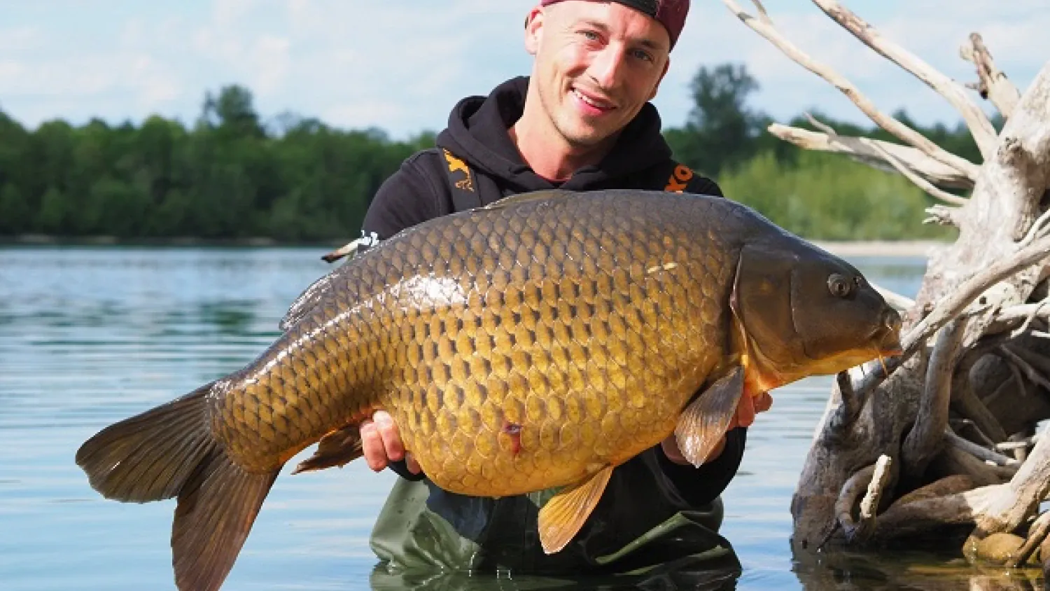 Bait Fabrik Fänge.