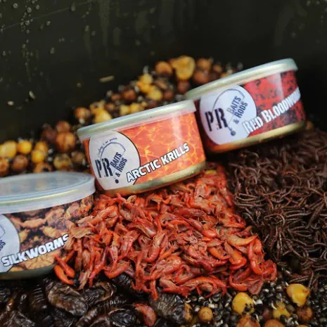 Oster Special und neue Insektenlarven - ein Blick in den Shop von P.R. Baits & Rods lohnt sich.