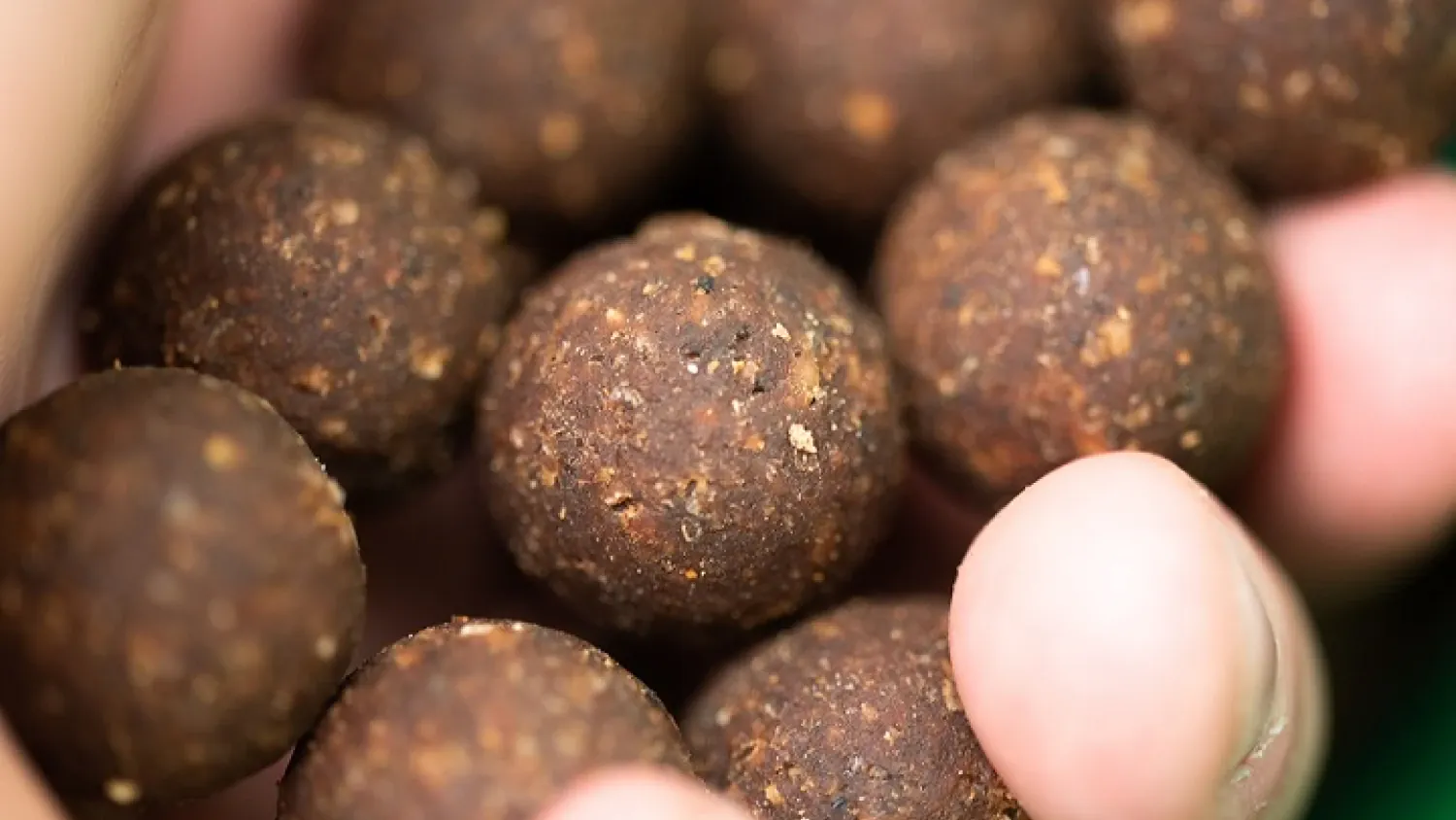 Successful Baits neuer Seafood Boilie