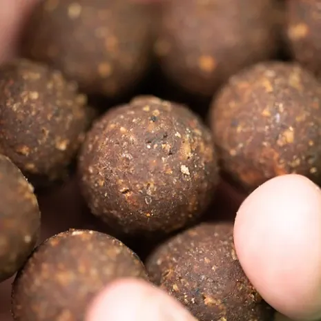 Successful Baits neuer Seafood Boilie