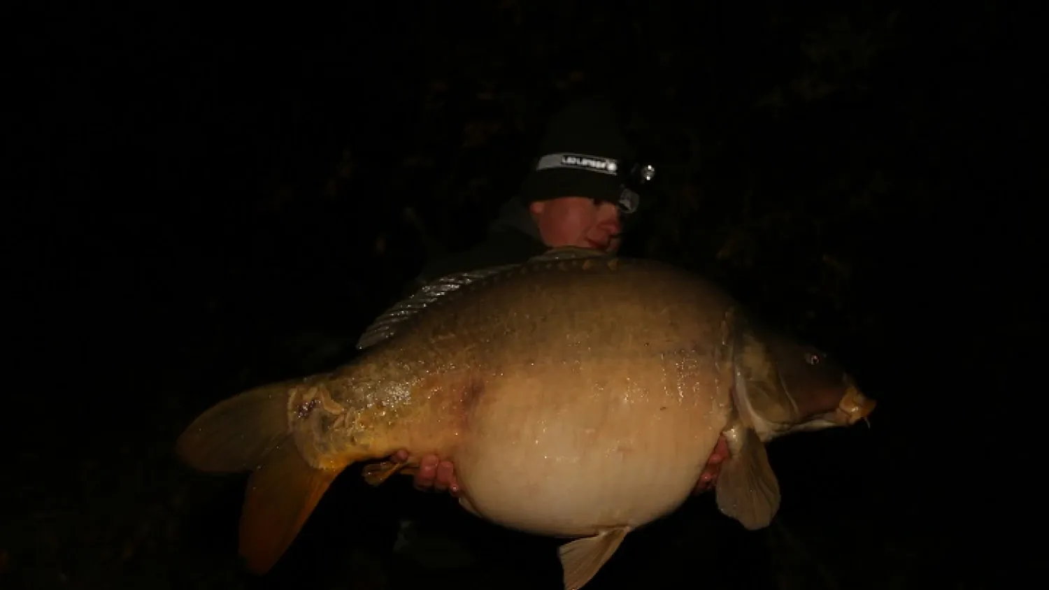 Spiegelkarpfen gefangen auf P.R. Baits.