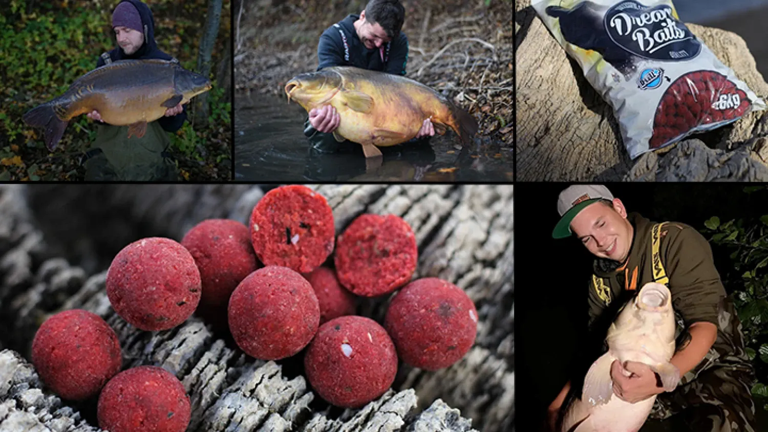 Die neue Boilierange "Umami" von Dreambaits, feiert dieses Wochenende in Wallau Premiere.