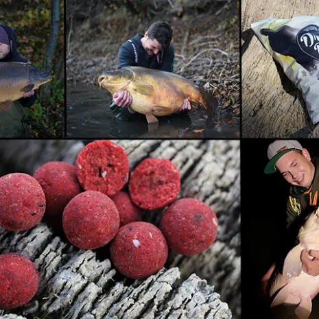 Die neue Boilierange "Umami" von Dreambaits, feiert dieses Wochenende in Wallau Premiere.