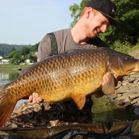 Rafael Bringmann mit schlankem Stausee Schuppenkarpfen