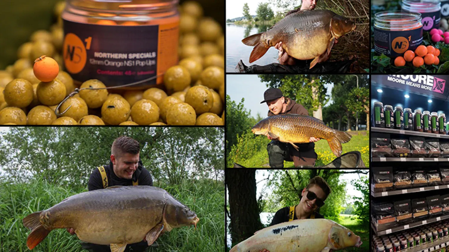 CCMoore Boilies und Teamangler