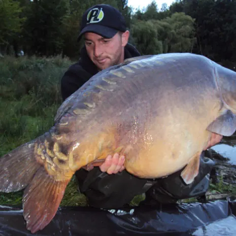 Die ProLine Teamangler haben in der Testphase festgestellt, dass der Bait Steam sich auch super im Beifutter anbietet.