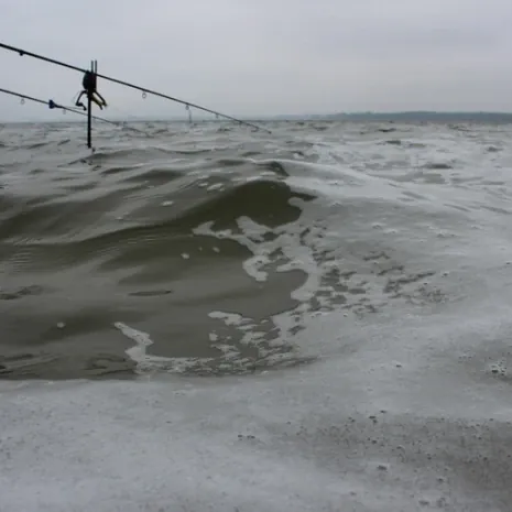 Wind und Wellen - das ist in Mecklenburg Fangwetter.
