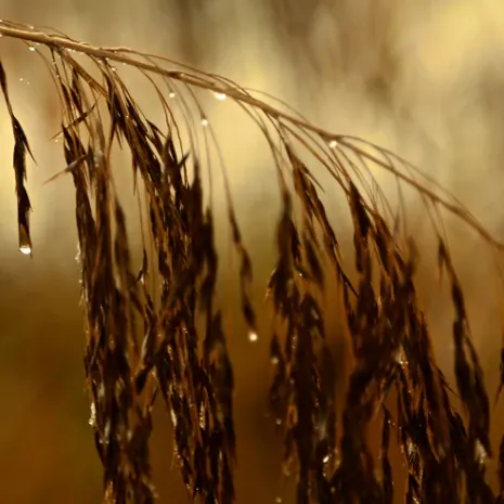 Im Video 'Der Herbst - Teil1' erwarten uns tolle Impressionen vom Wasser.
