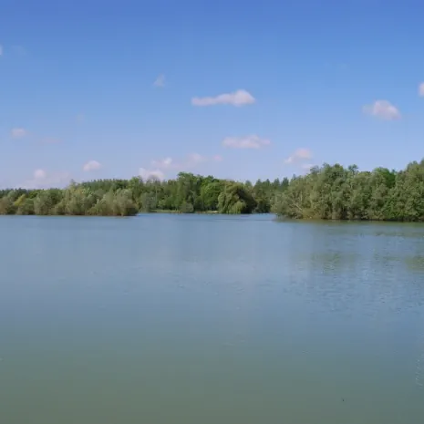 Drei Inseln ziehen sich durch die alte Kiesgrube: Hot Spots um Fische zu fangen.