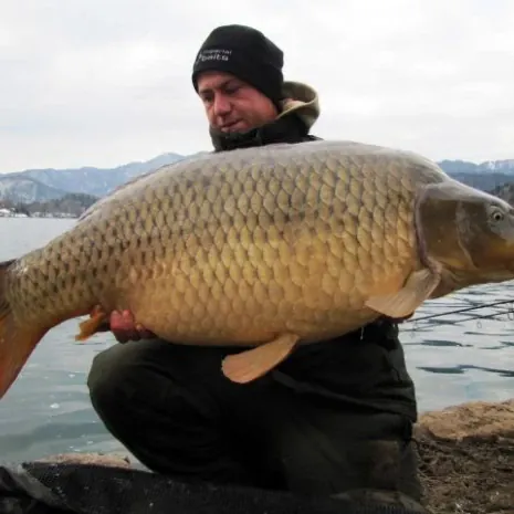 Bleder See, Imperial Baits