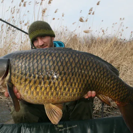 Björn Brockmann, Scale