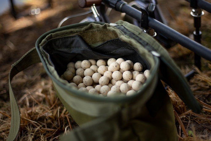 River Rats der Blog der Hetzmannseder Brüder bei Carpzilla+ - Teil 4 - Belgische Kanäle