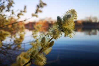 Andi schlief. Ich verbachte den Tag mit dem Fotografieren und Filmen der erwachenden Natur. DER STALKER #4 - Was der März nicht mit sich brachte ...
