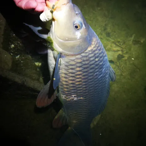 DER STALKER #4 - Was der März nicht mit sich brachte ...