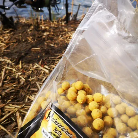 DER STALKER #4 - Was der März nicht mit sich brachte ...