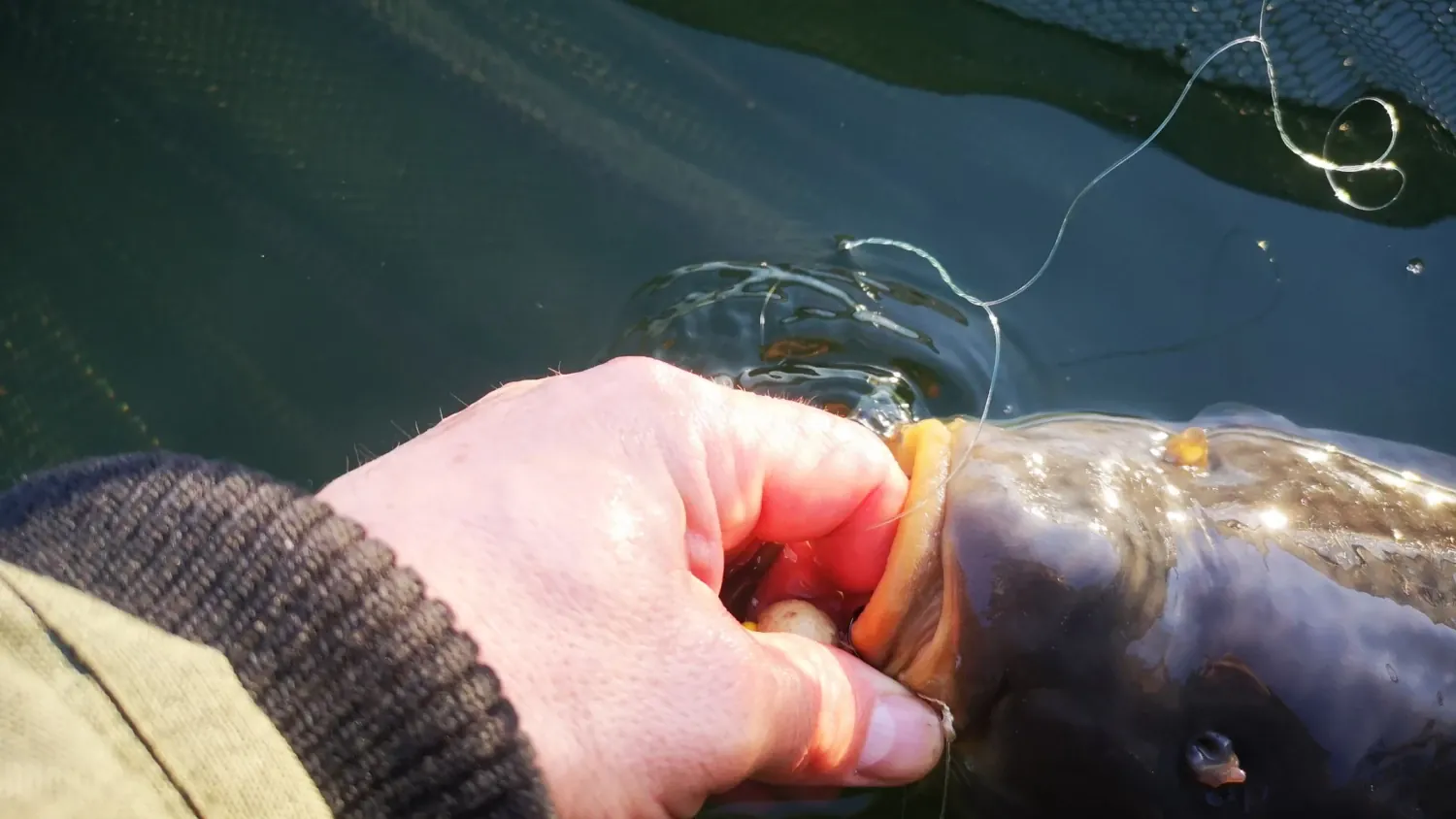 DER STALKER #4 - Was der März nicht mit sich brachte ...