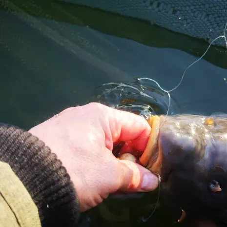 DER STALKER #4 - Was der März nicht mit sich brachte ...