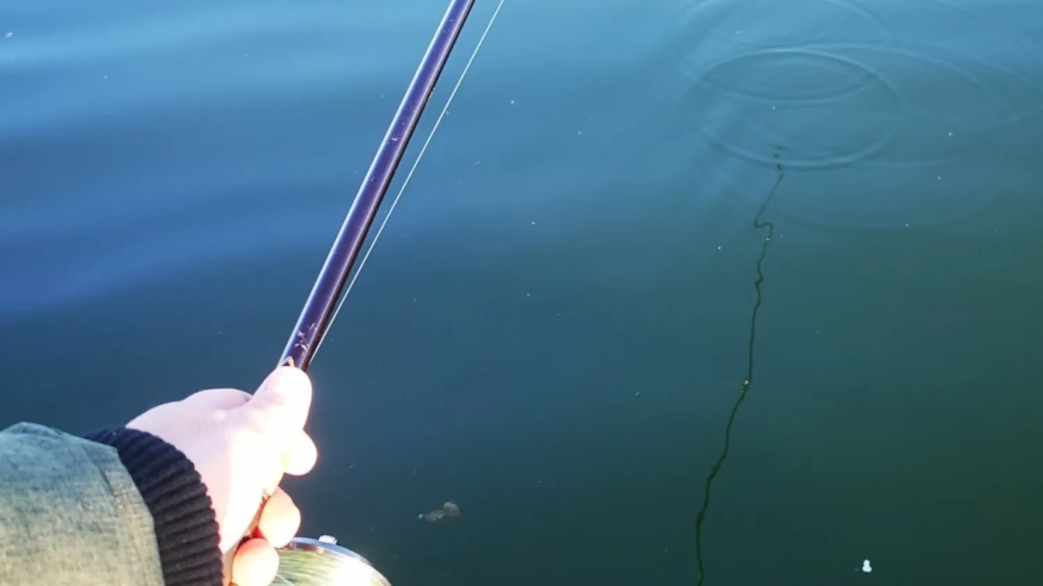 DER STALKER #4 - Was der März nicht mit sich brachte ...