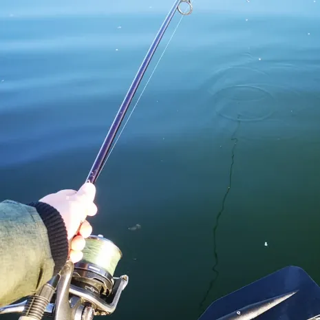 DER STALKER #4 - Was der März nicht mit sich brachte ...