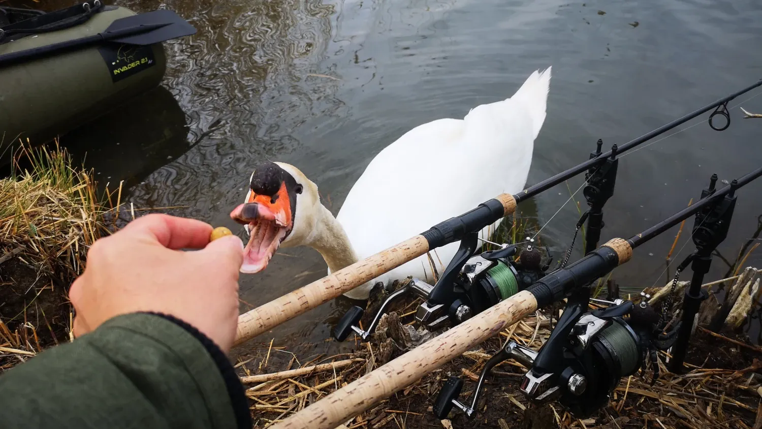 DER STALKER #4 - Was der März nicht mit sich brachte ...