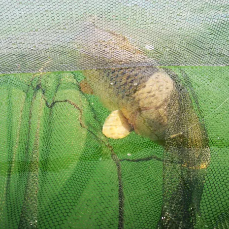 DER STALKER #4 - Was der März nicht mit sich brachte ...