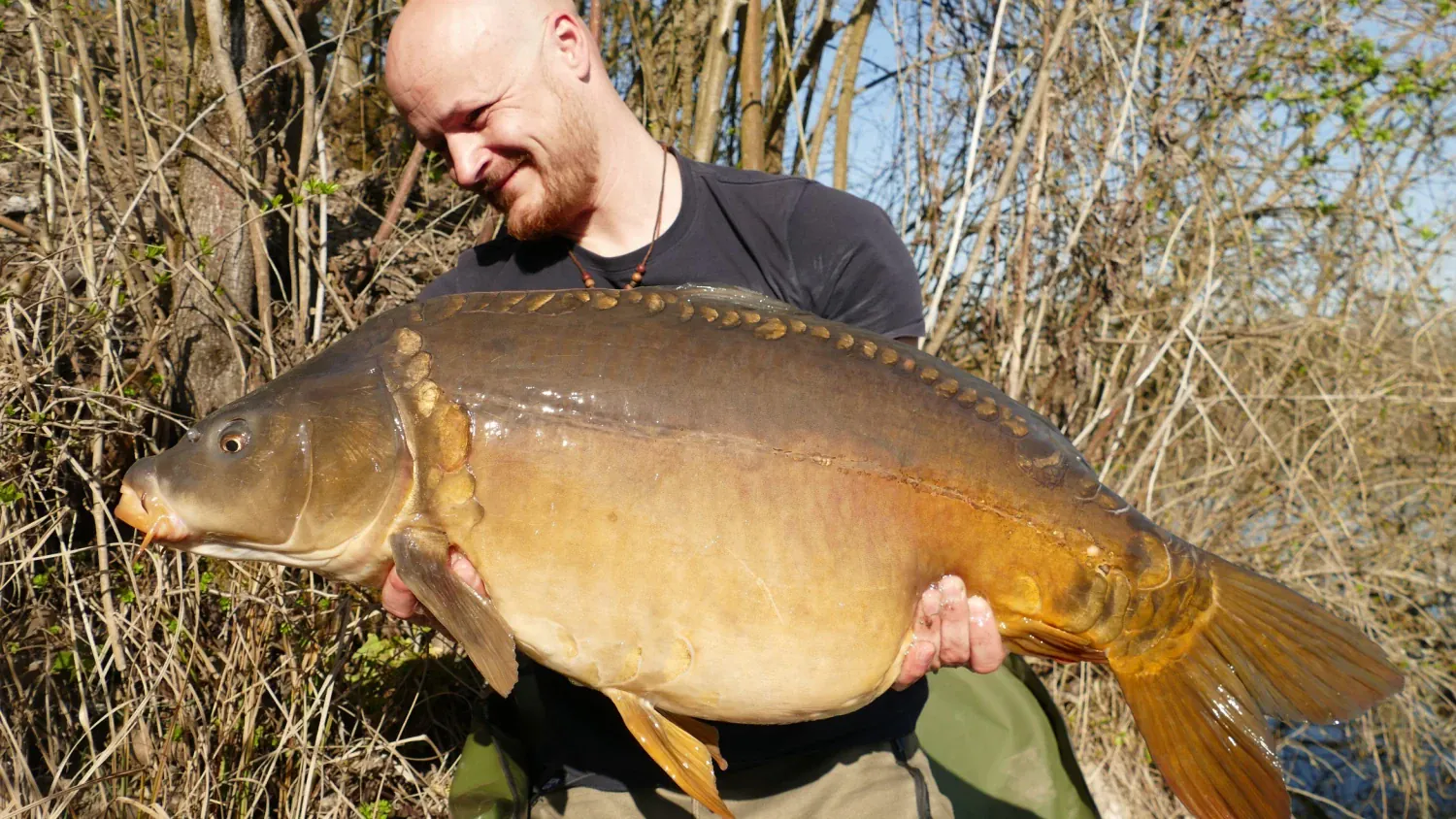 DER STALKER #4 - Was der März nicht mit sich brachte ...