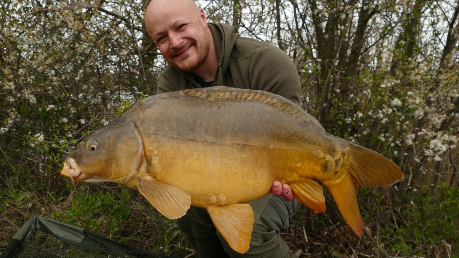 DER STALKER #4 - Was der März nicht mit sich brachte ...