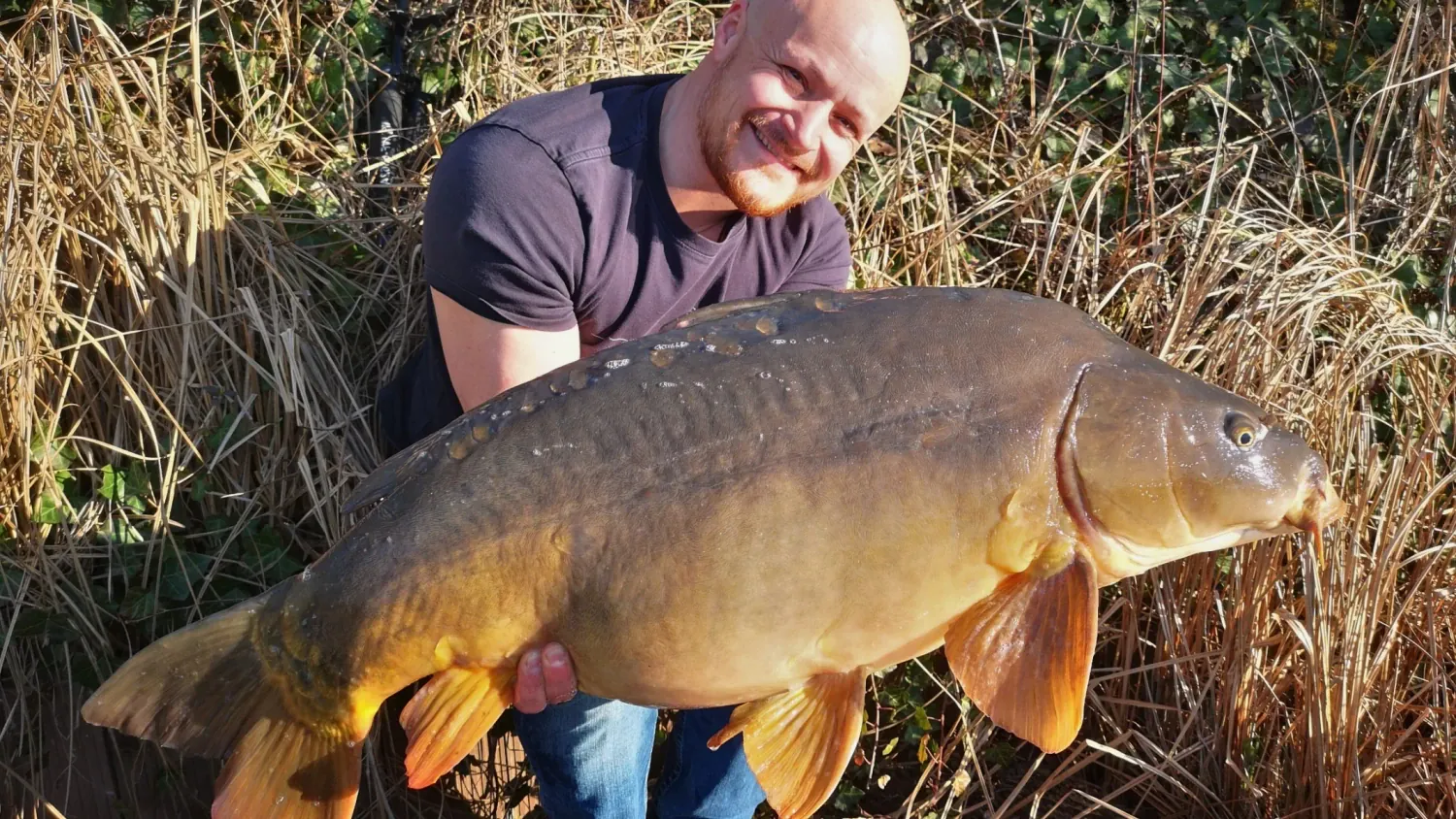 DER STALKER #4 - Was der März nicht mit sich brachte ...