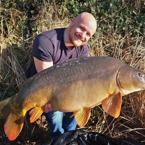 DER STALKER #4 - Was der März nicht mit sich brachte ...