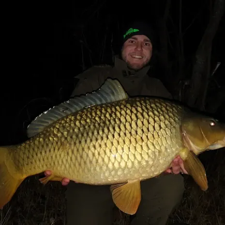 jonas Happle mit schuppenkarpfen