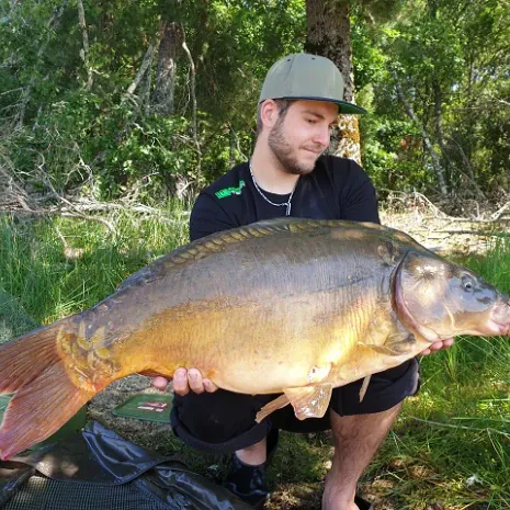 Jonas Happle mit spieglekarpfen