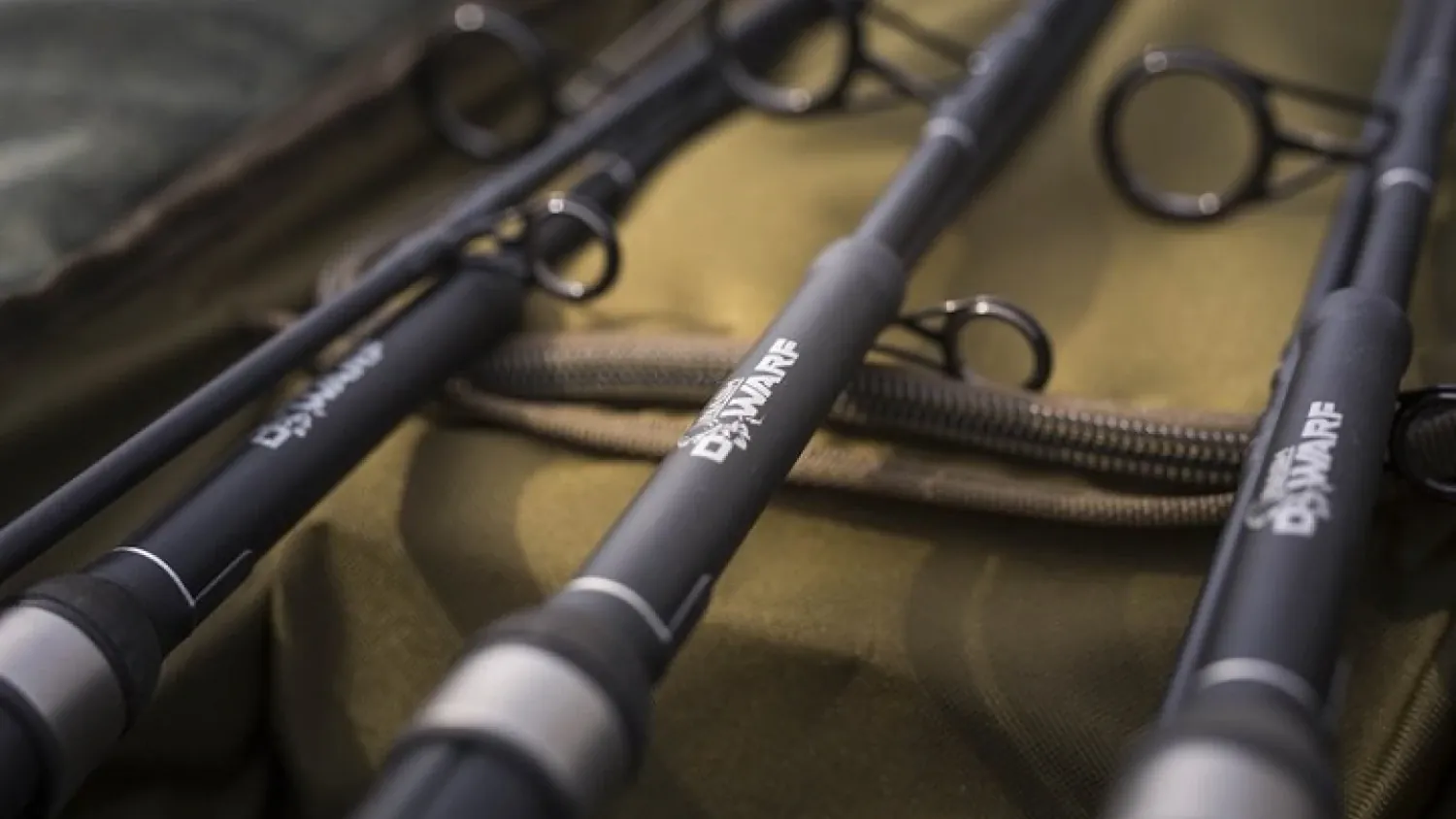 Nash Dwarf Gewinnspiel auf Carpzilla