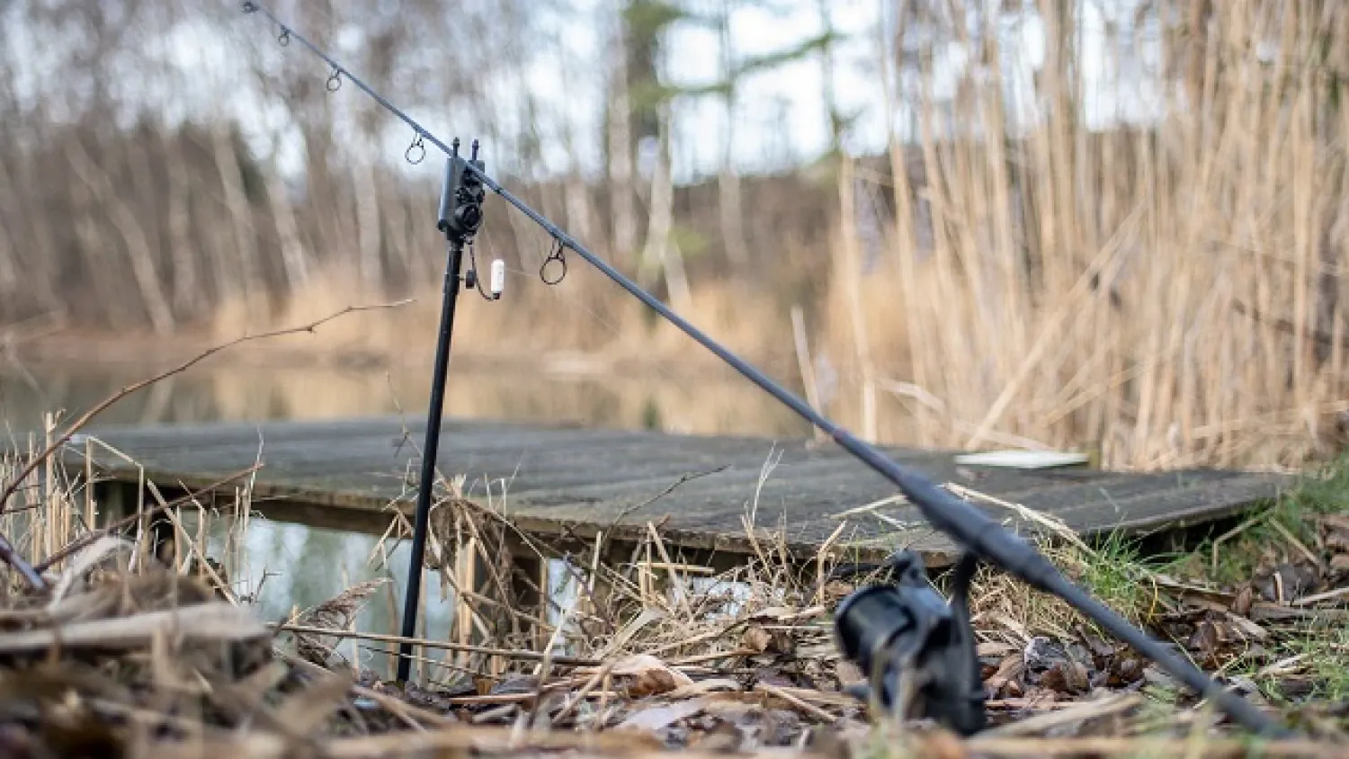 Setup Foto von Thilo Schulze