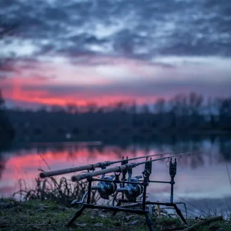 Ruten Set-Up von Thilo Schulze in der Morgendämmerung