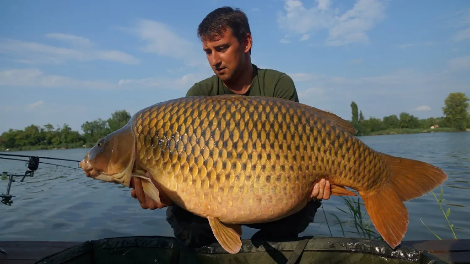 30 Kilo Schuppenkarpfen, gefangen auf Keen Carp Boilies