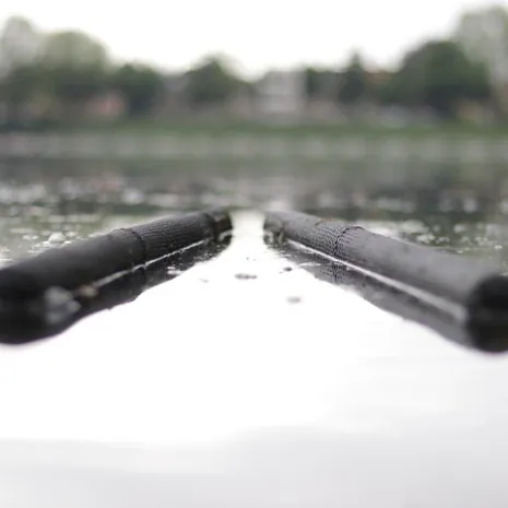 Karpfen in einer Retentionsling im Wasser