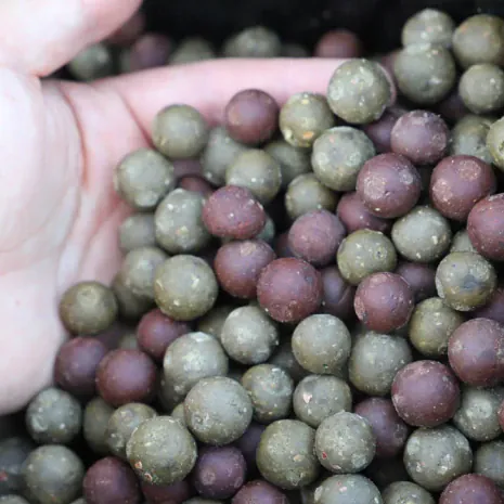 Elementor und Protex Boilies mussten ständig nachgefüttert werden, um die Fische in Beisslaune zu halten. Elementor und Protex Boilies von Baitlounge