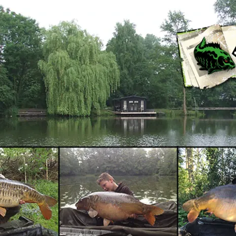 Gewinnt mit The Carp Specialist einen Angelurlaub für zwei Personen an den Mystery Lake.