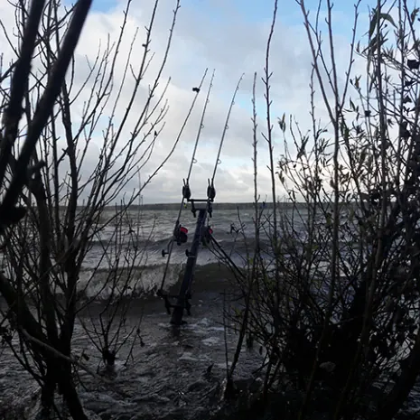 Der Wind drehte nach dem Biss erst richtig auf.