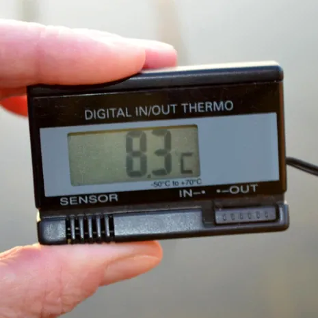 Die Wassertemperatur ist nicht zu jeder Jahreszeit von gleicher Bedeutung.
