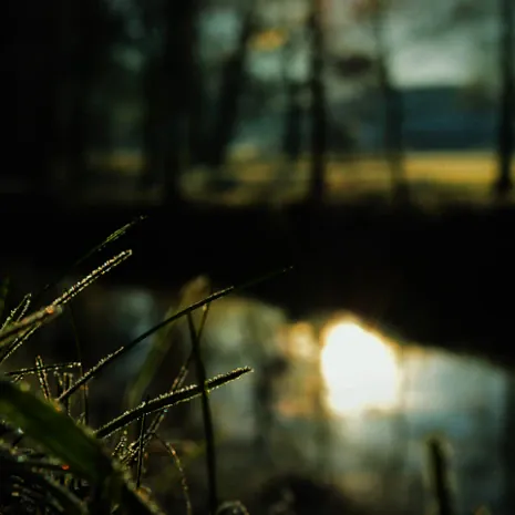 'Kein Feuer kann sich mit dem Sonnenschein eines Wintertages messen.'