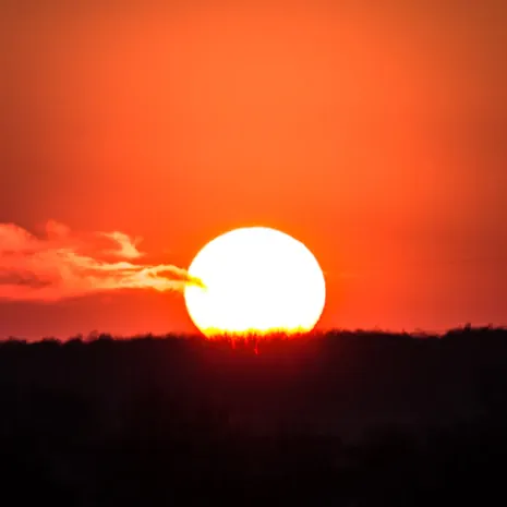 An Thoreaus Worte denkend, weiß ich: Die Wintersonne hat mir wieder gegeben, wonach ich suchte.