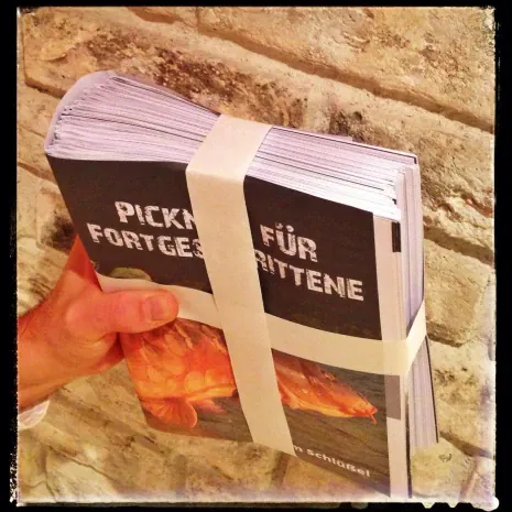Das Buch ist im Druck. Auf der 'Carp + Cat Expo' erblickt 'Picknick für Fortgeschrittene' das Licht der Öffentlichkeit.