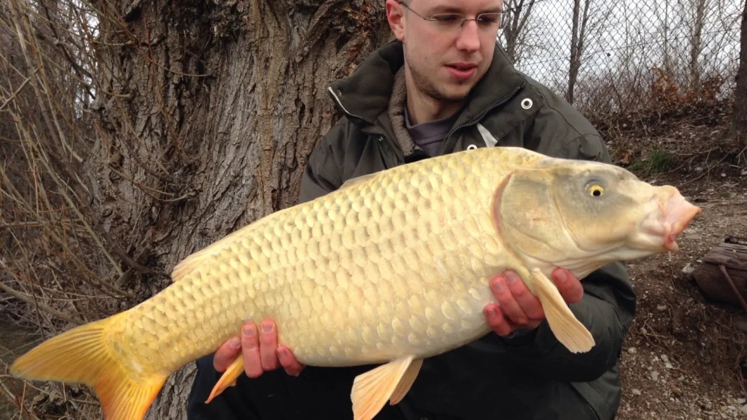 Christian Karacsony - Niederösterreich - 8,9 Kilo - 27 Zillas