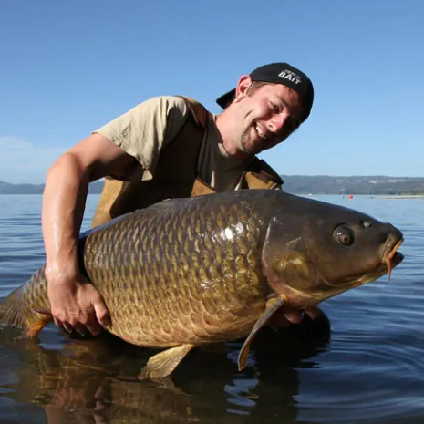 Diesen prächtigen Schuppi fing Julian vor der WCC am 11100 Hektar großen Lago di Bolsena.