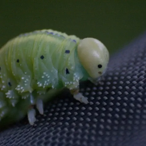 Alex hat ein Auge für die Fotografie. Seine Beiträge bestechen durch sehr ausdrucksstarke Bilder.