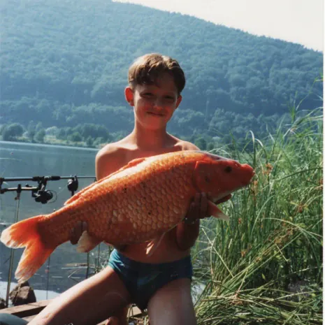 12 Pfund Koi-Gold, gefangen 1995 an der besagten Kiesgrube in Unterfranken